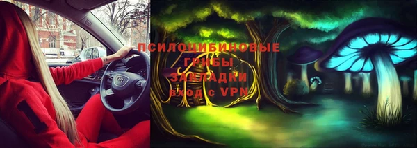 индика Тында