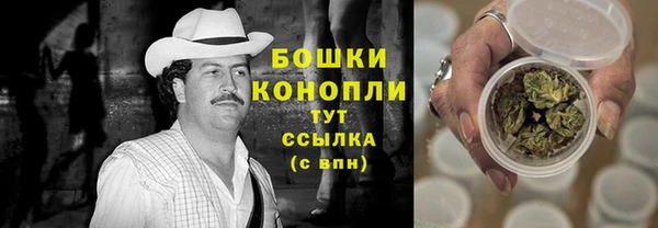 гашик Нея