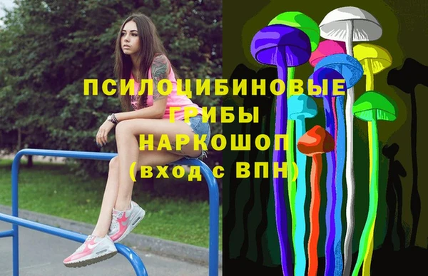 гашик Нея