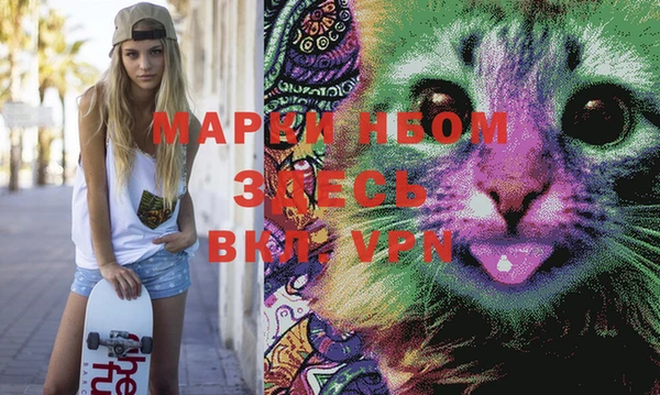 гашик Нея