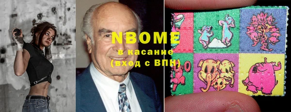 гашик Надым