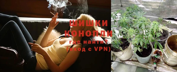 гашик Надым