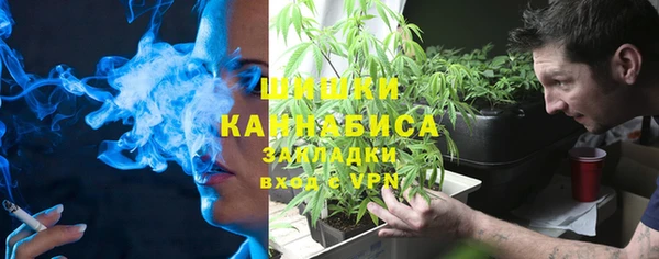 гашик Надым