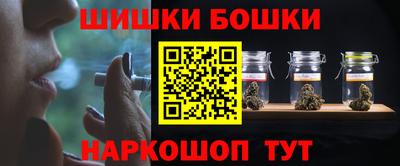 молекула духа Будённовск