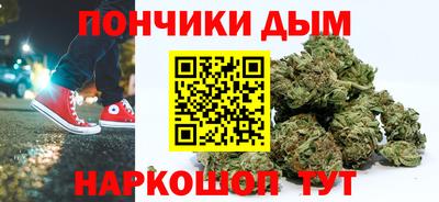 молекула духа Будённовск