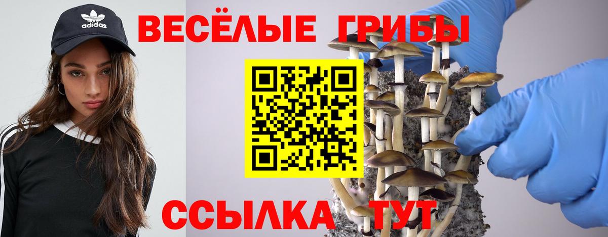 Галлюциногенные грибы Psilocybe  Вход с VPN  Псилоцибиновые грибы прущие грибы  Грозный 