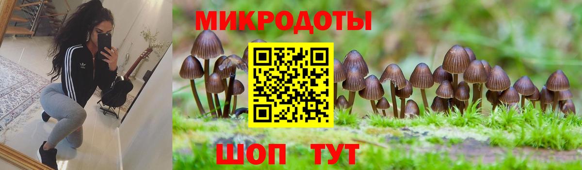дарнет шоп  Грозный  Галлюциногенные грибы Magic Shrooms 